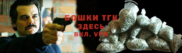 индика Каменск-Шахтинский