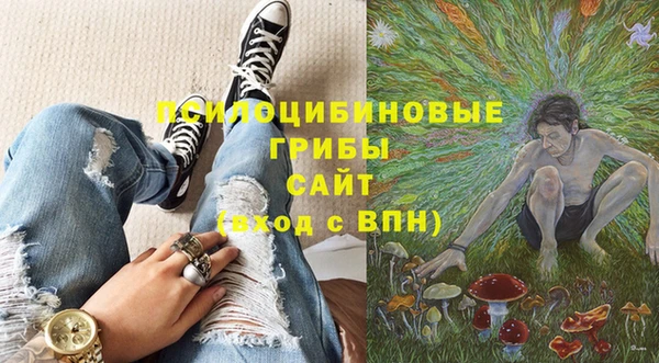 мет Каменногорск