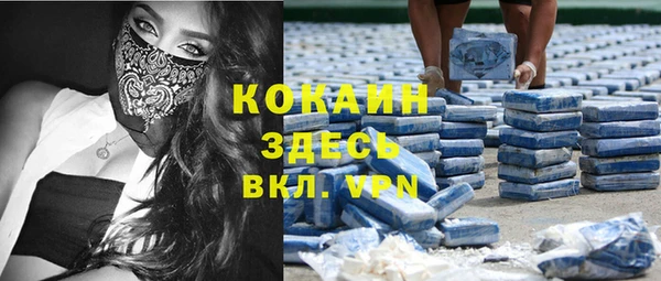 индика Каменск-Шахтинский