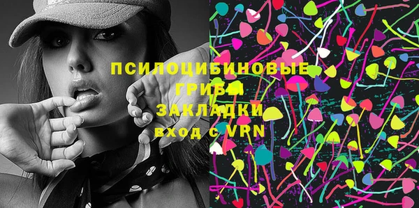 бутират Каменка