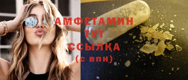 индика Каменск-Шахтинский