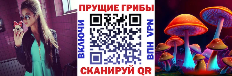 Купить где  Алатырь  Галлюциногенные грибы прущие грибы 