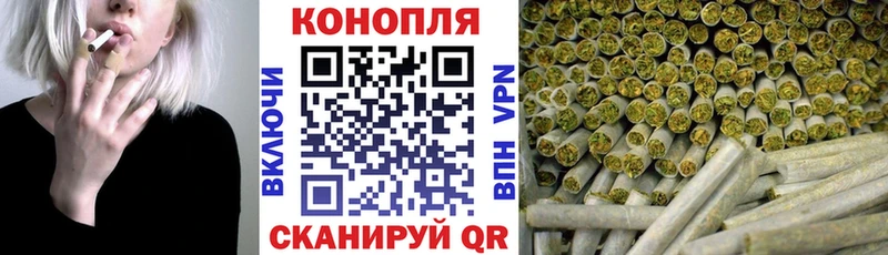 Купить  Алатырь  Конопля планчик 